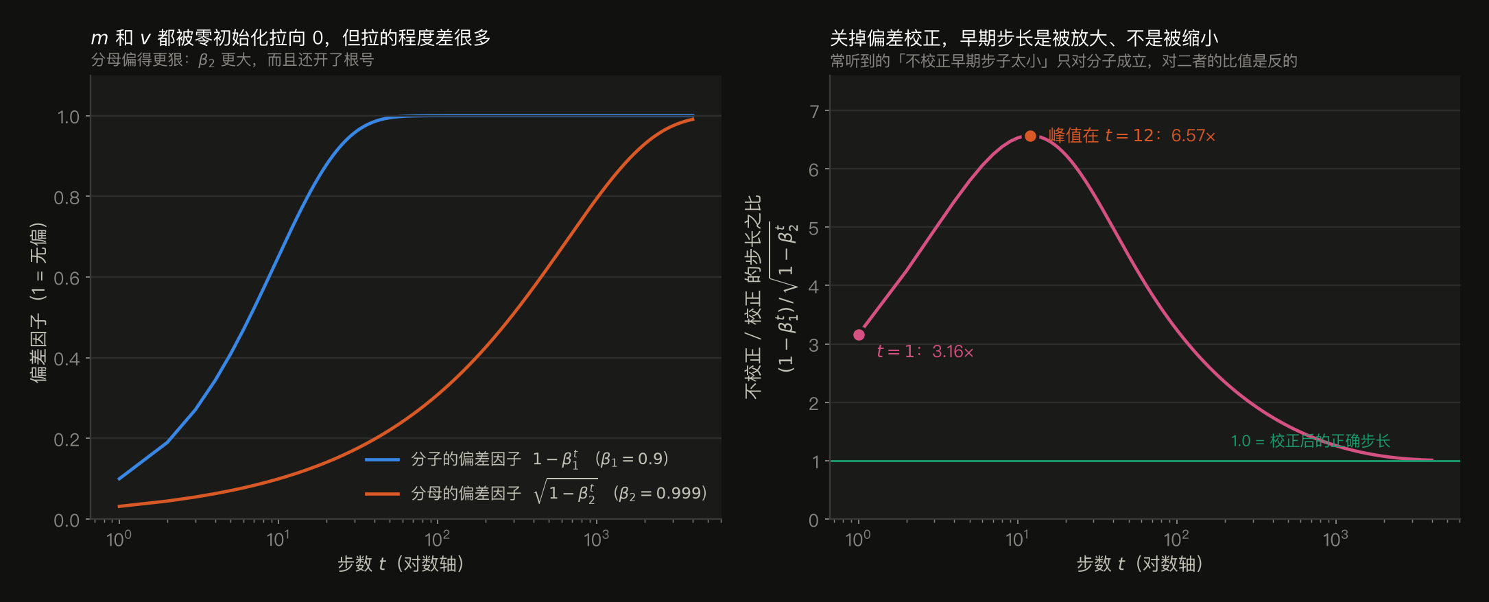 两个面板。左面板:分子的偏差因子 (1−β₁ᵗ) 与分母的偏差因子 √(1−β₂ᵗ) 随步数 t 的对数轴曲线,两者都从接近 0 单调升到 1,但分子在 t≈50 就基本到 1,分母要到 t≈4000 才接近 1,因为 β₂=0.999 更大且开了根号。右面板:两者的比值 (1−β₁ᵗ)/√(1−β₂ᵗ),即"不校正与校正的步长之比”。t=1 时为 3.16 倍,随后继续上升,在 t=12 达到峰值 6.57 倍,然后缓慢下降,t=1000 时为 1.26 倍,t=4000 时为 1.01 倍才基本回到 1。