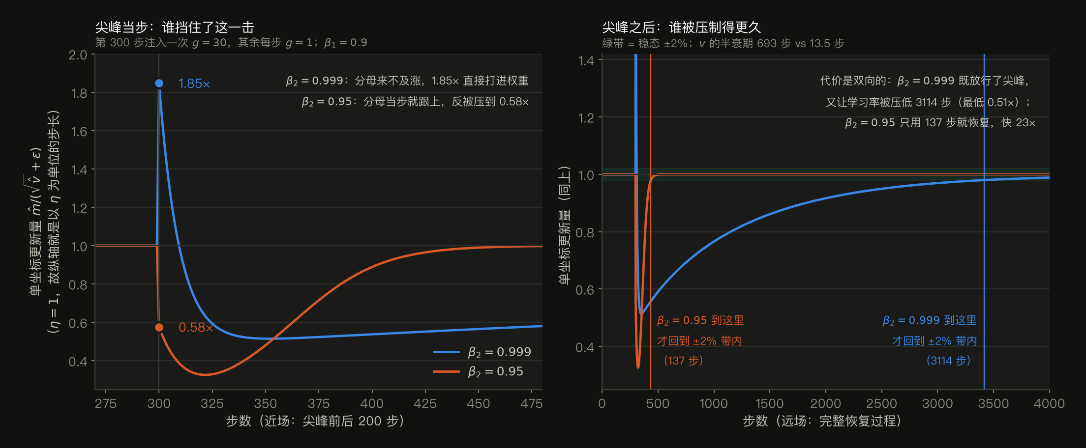 两个面板,同一条梯度序列(每步 g=1,第 300 步注入一次 g=30),β₁=0.9,η=1 所以纵轴就是以学习率为单位的步长。左面板近场(第 270 到 480 步):β₂=0.999(蓝)的分母来不及涨,尖峰当步的更新量被放大到 1.85 倍直接打进权重;β₂=0.95(橙)的分母当步就跟上,更新量反被压到 0.58 倍。之后两者都跌到 0.5 附近,橙线最低到 0.33 但迅速回升,蓝线缓慢爬升。右面板远场(0 到 4000 步):绿带标出稳态 ±2% 区间。β₂=0.95 在尖峰后 137 步就回到带内;β₂=0.999 要到 3114 步才回到带内,最低被压到 0.51 倍,慢 23 倍。