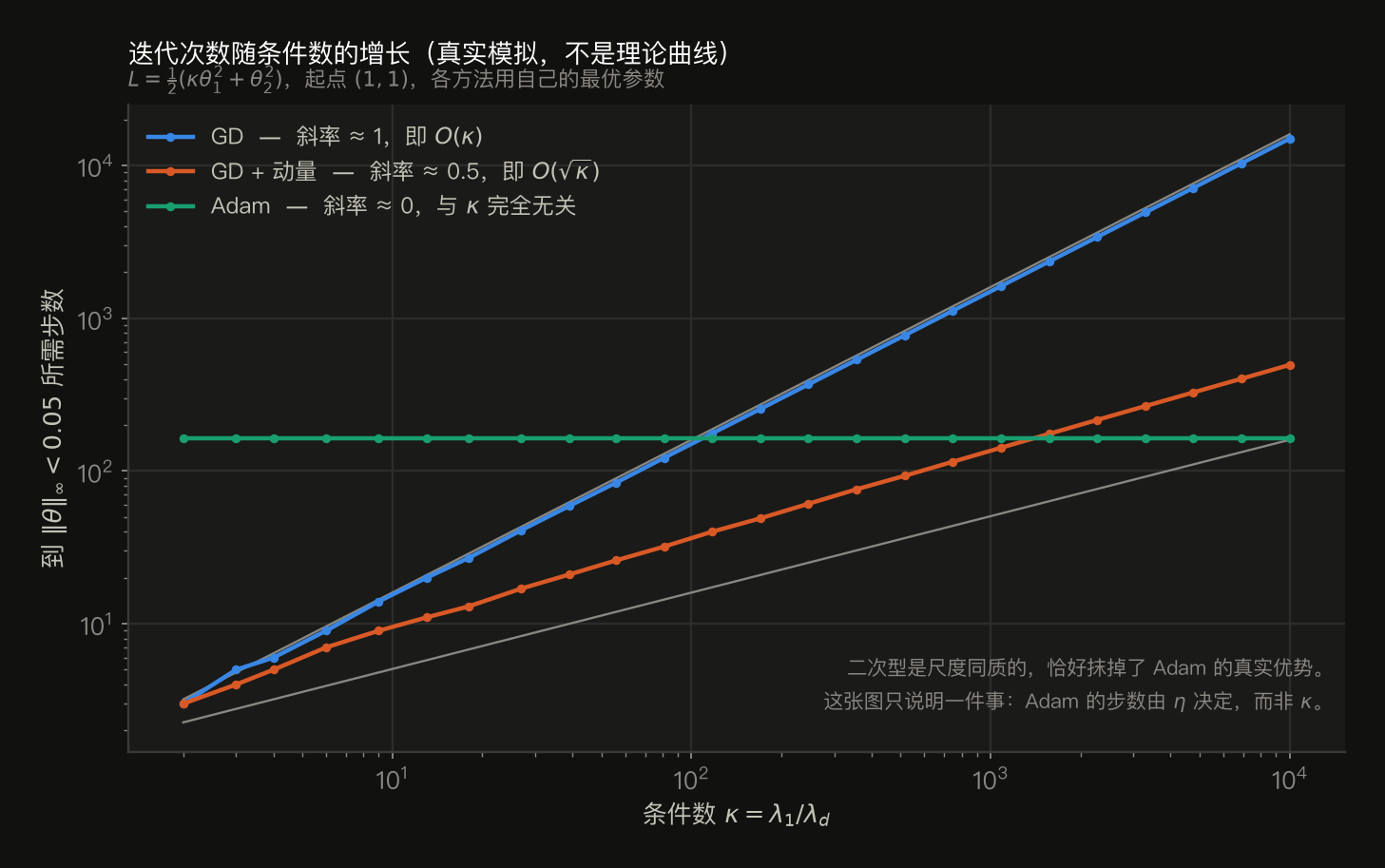 步数随条件数增长的 log-log 图,κ 从 2 扫到 10000,全部真实模拟。GD 的斜率约为 1(κ=117 时 176 步,κ=10000 时 14979 步),即 O(κ)。GD+动量的斜率约为 0.5(κ=117 时 40 步,κ=10000 时 495 步),即 O(√κ)。Adam 是一条完全水平的线,在所有 κ 上都恰好是 163 步,斜率为 0,与条件数完全无关。图中还画了斜率 1 和斜率 0.5 的灰色参考线。