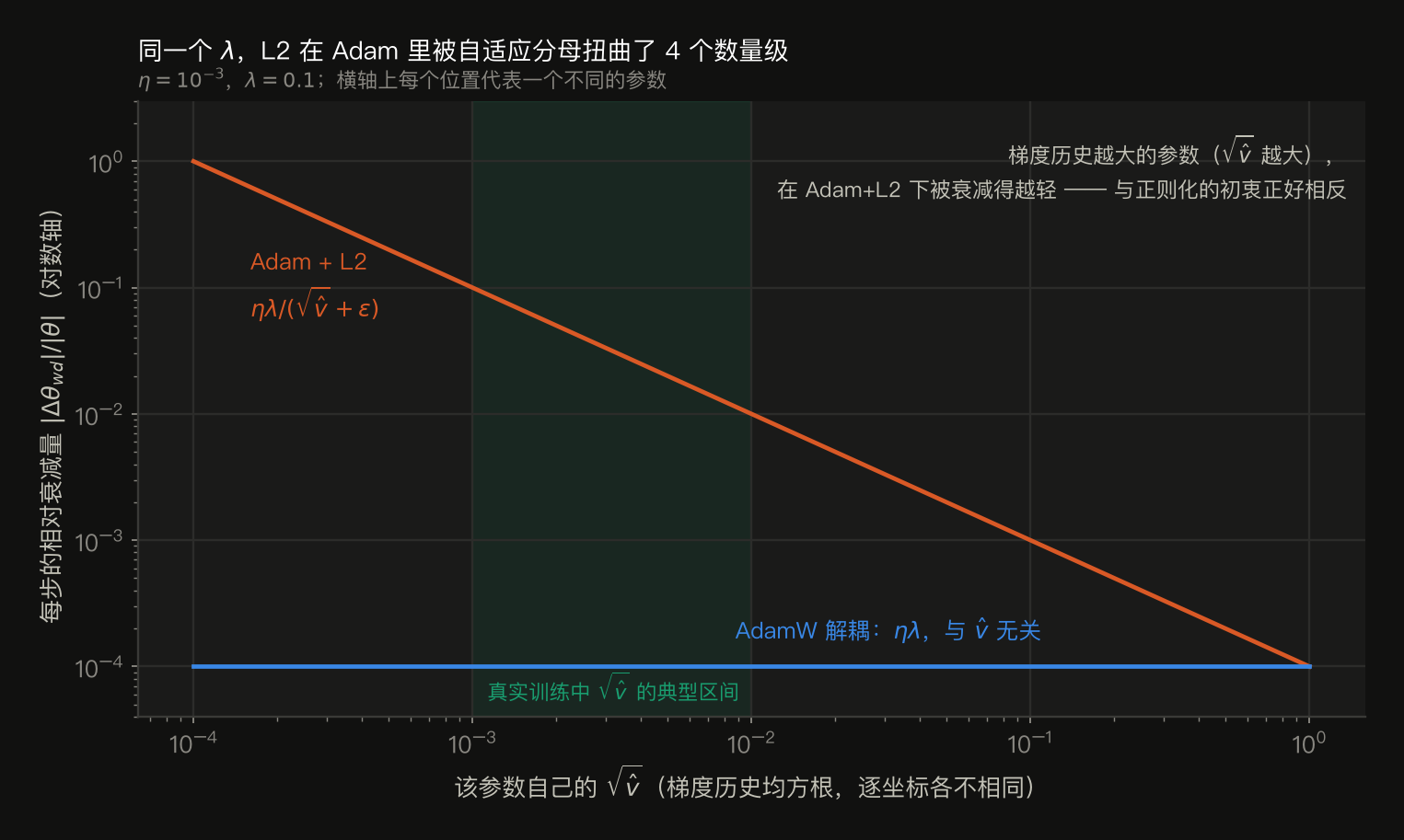 对数-对数图,横轴是某个参数自己的 √v̂(梯度历史均方根,从 1e-4 到 1e0),纵轴是每步的相对衰减量。橙线是 Adam+L2 的 ηλ/(√v̂+ε),是一条斜率 −1 的直线,从 1e0 一路降到 1e-4,跨 4 个数量级。蓝线是 AdamW 解耦的 ηλ,是一条完全水平的直线恒为 1e-4,与 v̂ 无关。图中用绿色阴影标出真实训练中 √v̂ 的典型区间 1e-3 到 1e-2。η=1e-3,λ=0.1。