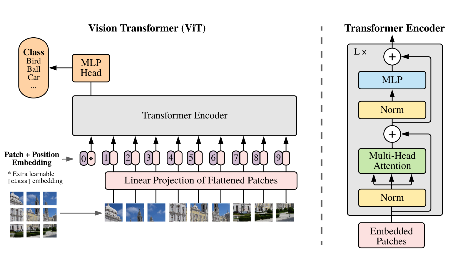 Vision Transformer:把图像切成 patch,线性投影加位置编码,过一个标准 Transformer encoder(讲义图 images/vit.png)